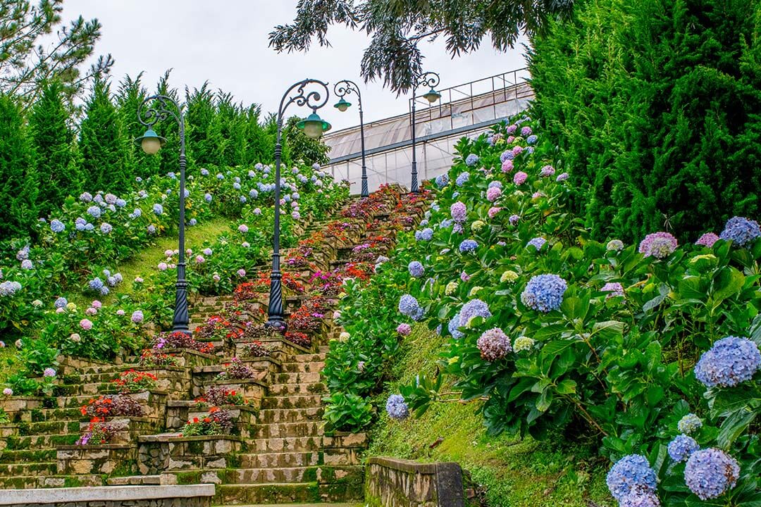 A corner inside Dalat Flower Park