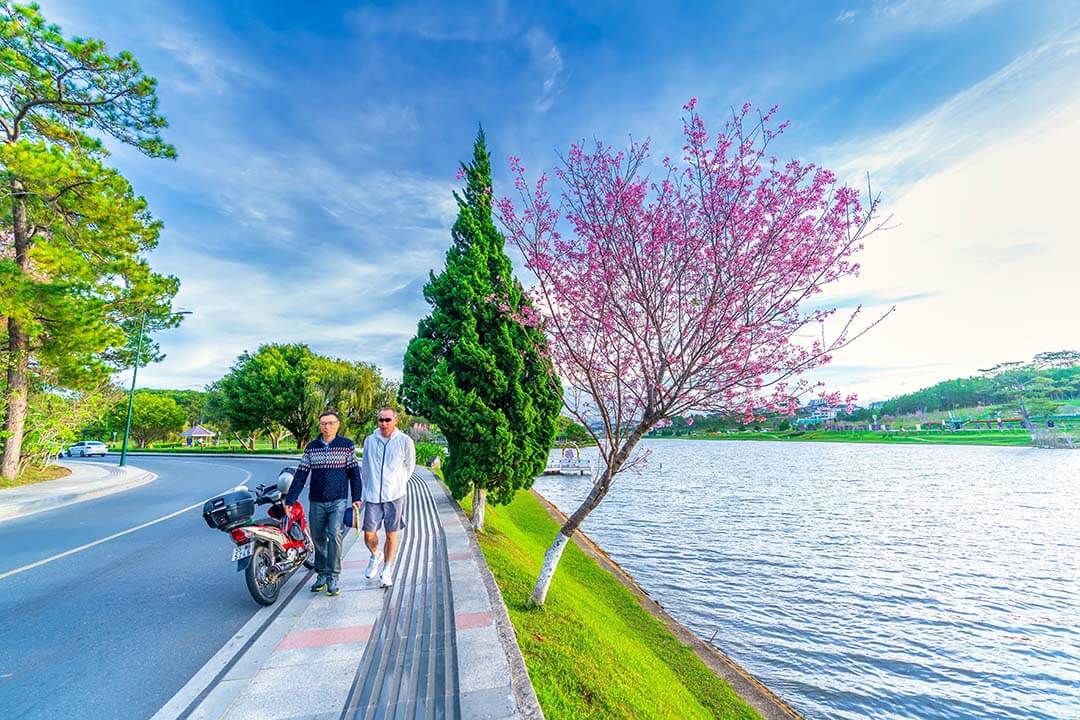 Breathe fresh air around the Xuan Huong lake