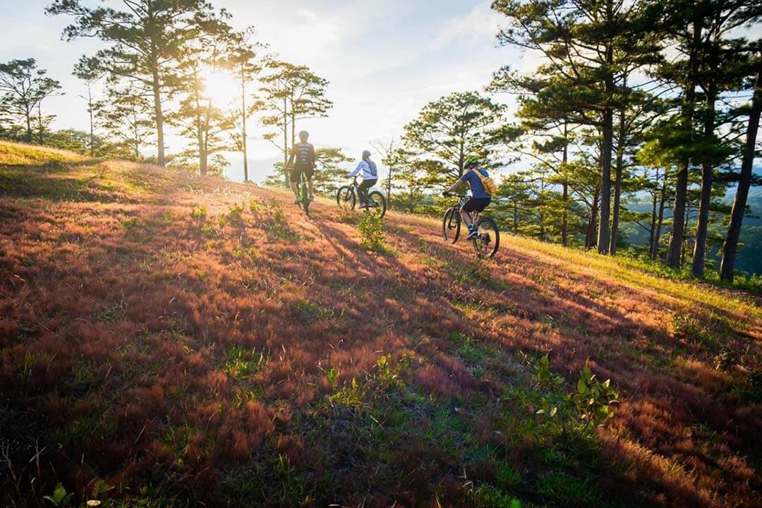 Climbing with bicycle