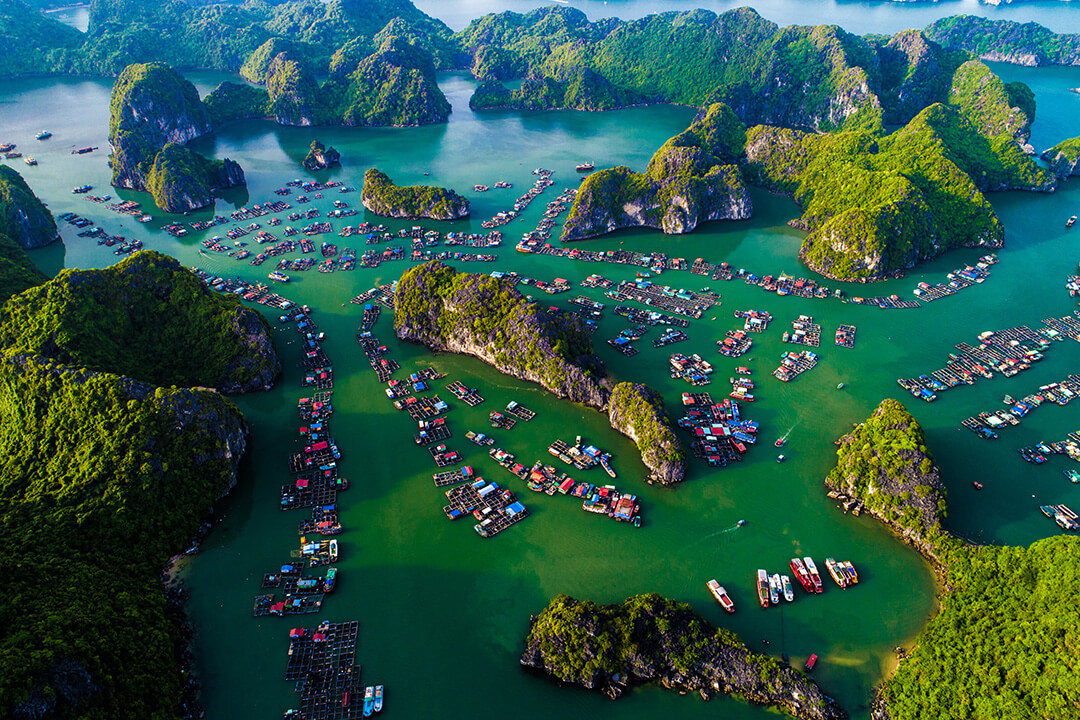 Hai Phong - Vietnam port land