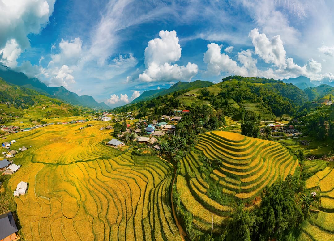 Muong Hoa Valley In Vietnam