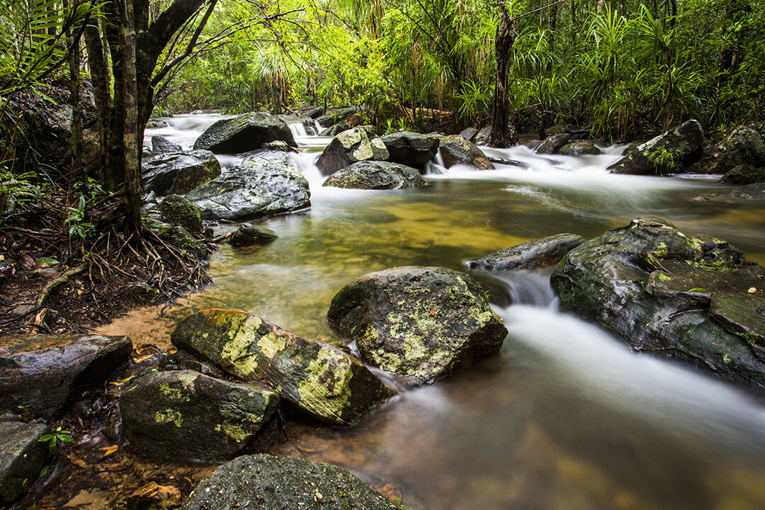 Suoi Tranh - Phu Quoc