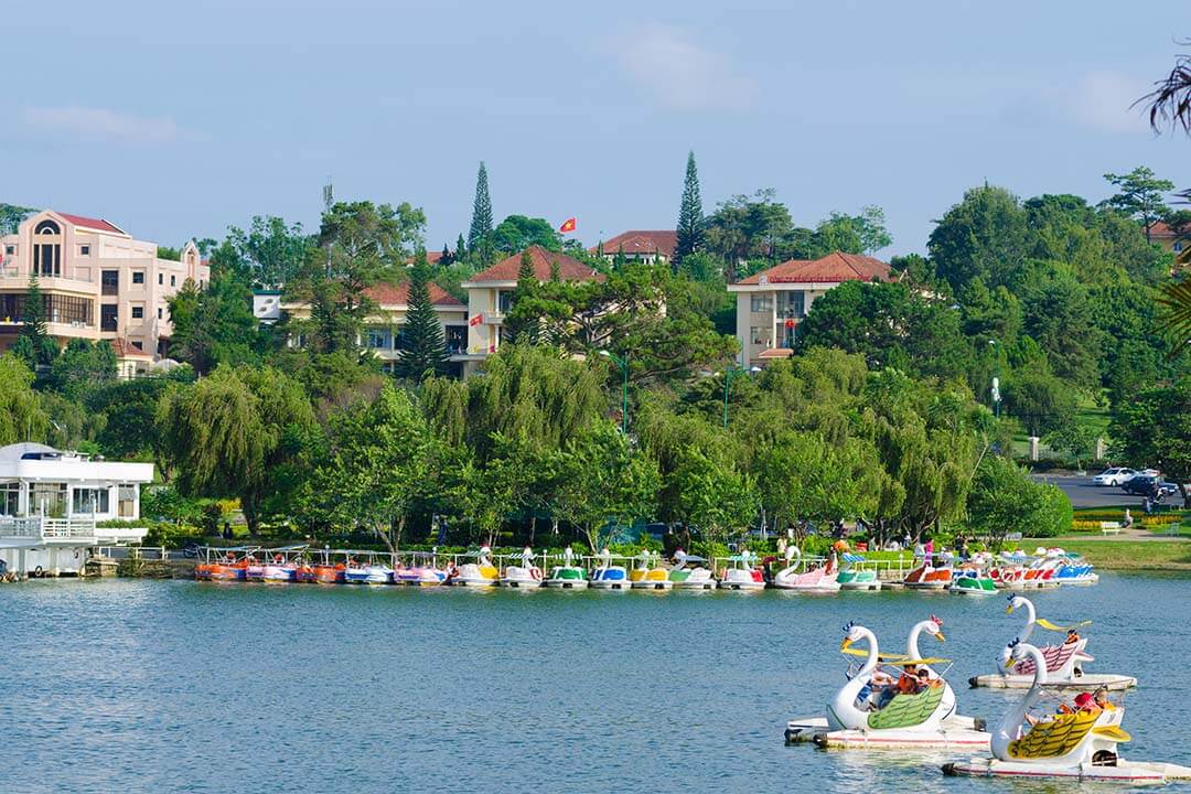 Swan pedal boat on the Xuan Huong lake