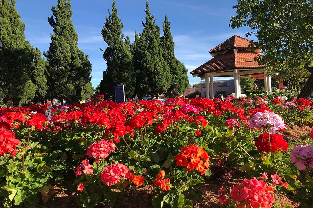 Tran Hung Dao park in Dalat