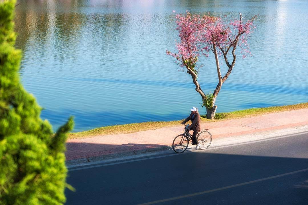 Walk or cycle around the lake