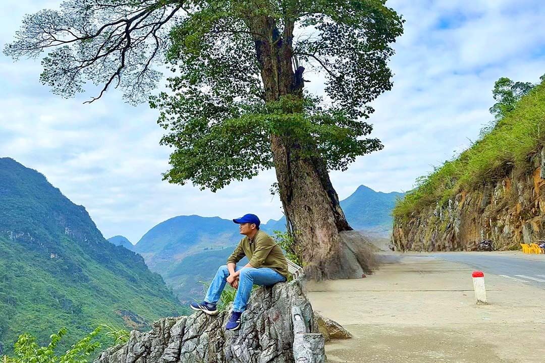 Lonely tree in Lung Khuy Village