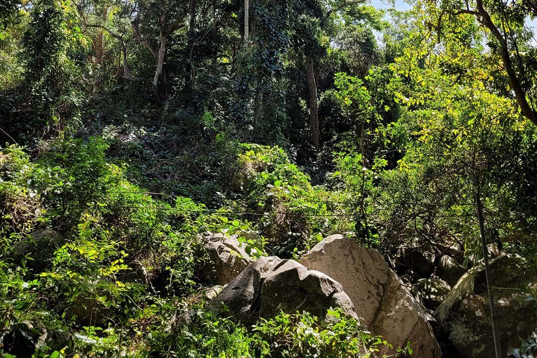 Majestic nature in Ta Cu Mountain