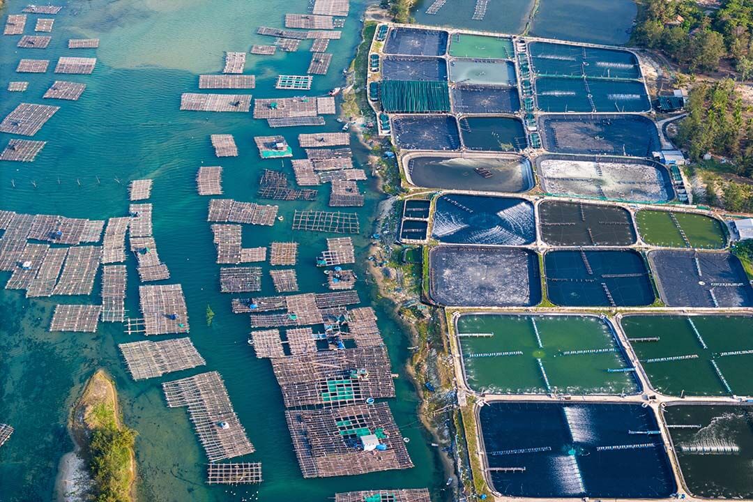 Overview of O Loan Estuary