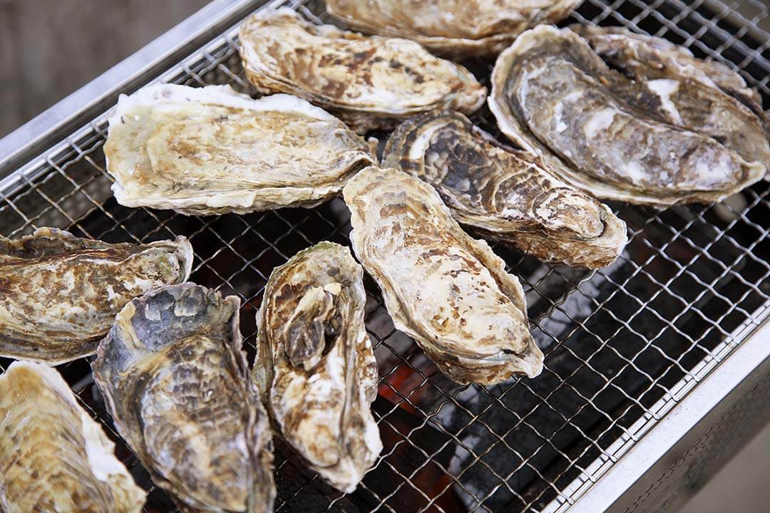 Oysters on the grill