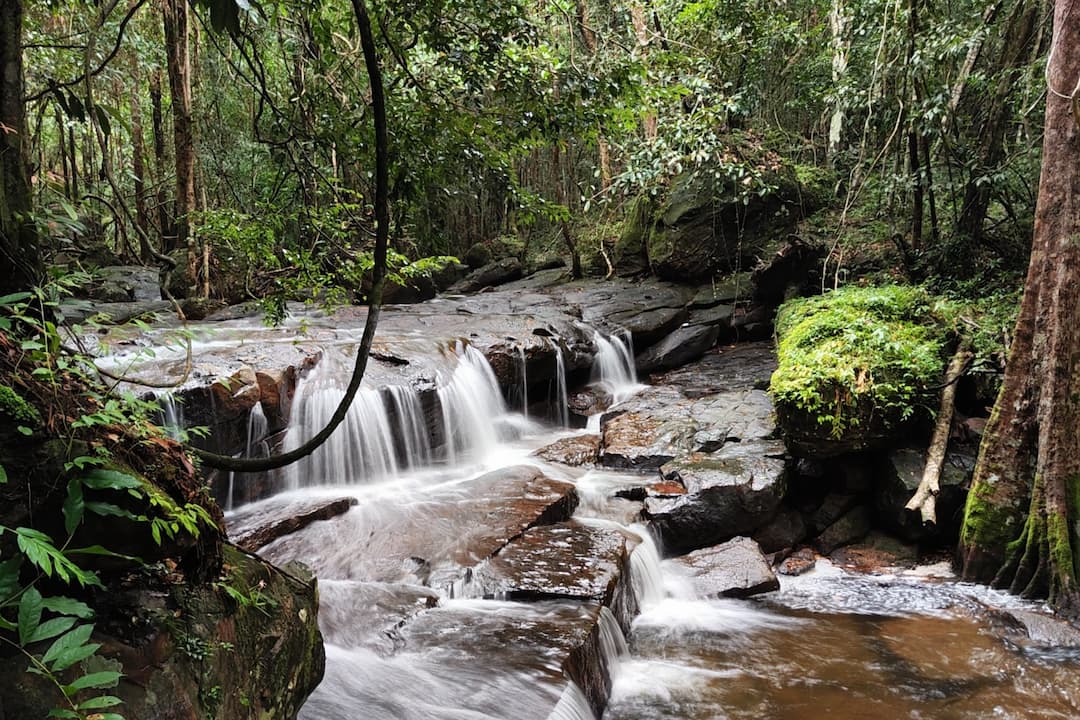 Phu Quoc National Park