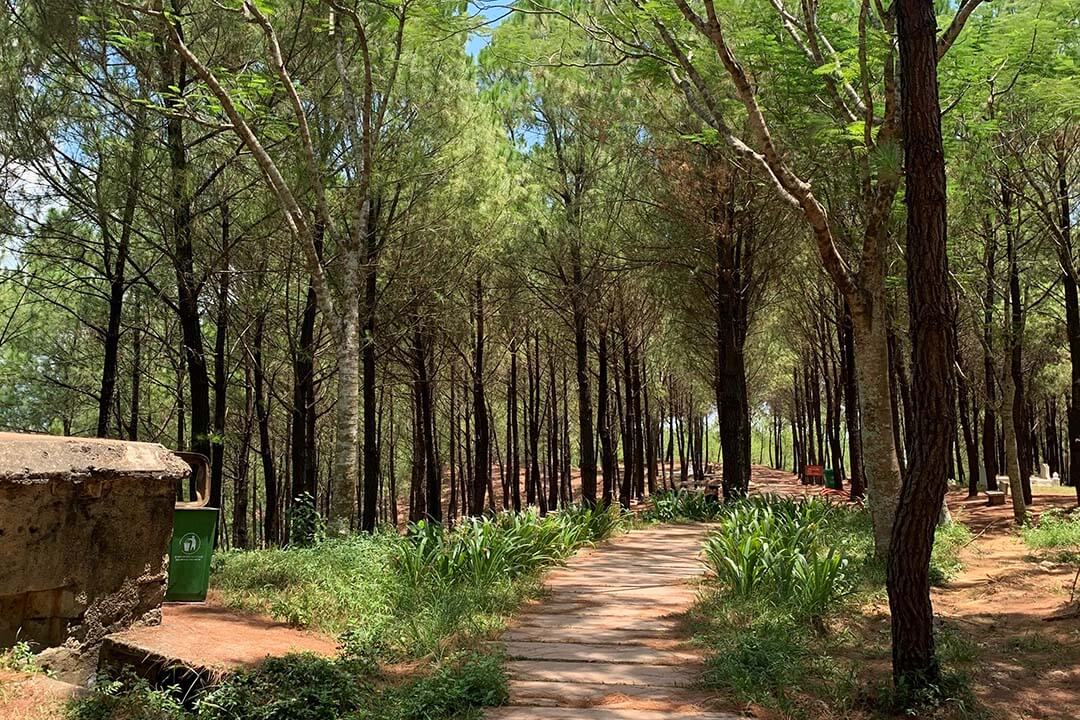 Road in Vong Canh Hill