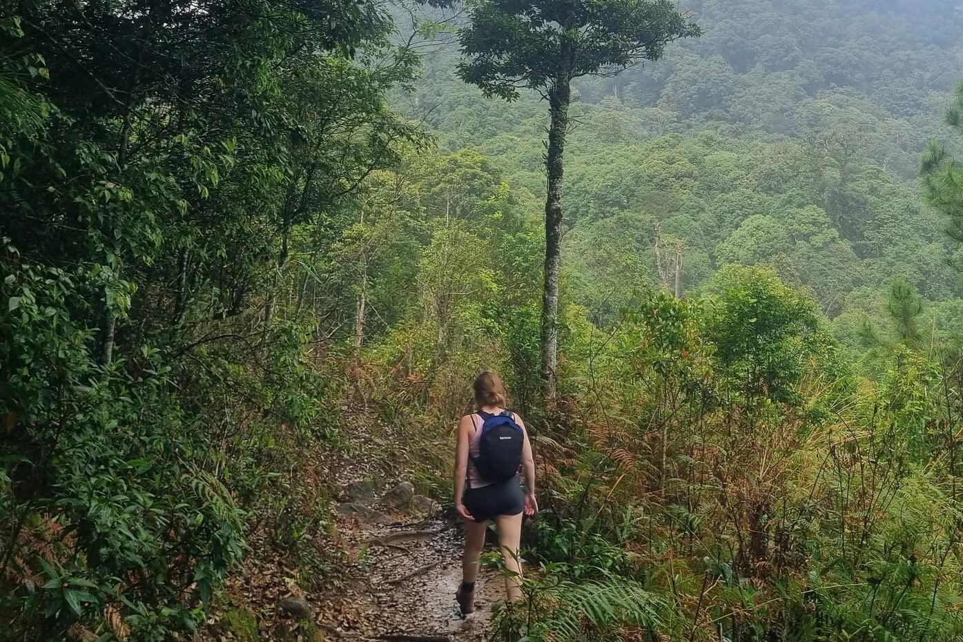 Road to the peak of Langbian Mountain - one of the best attraction to hikking in Vietnam