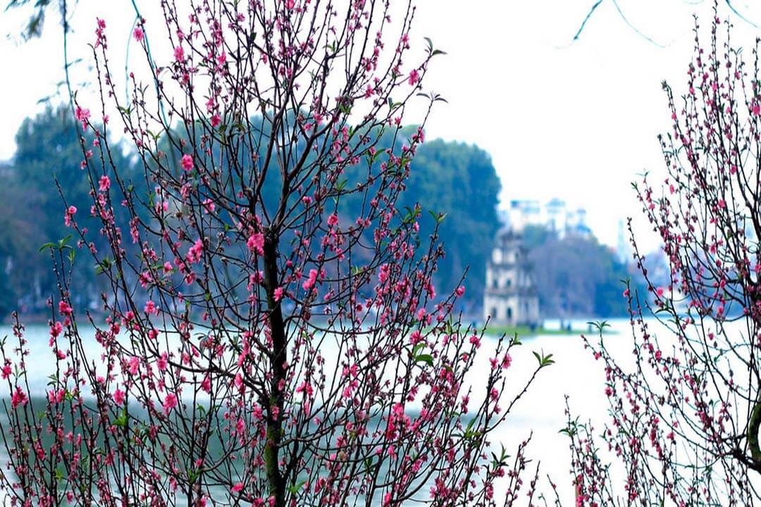 Spring in Hanoi