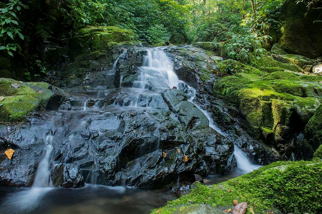 Stream waterfall inside Bidoup