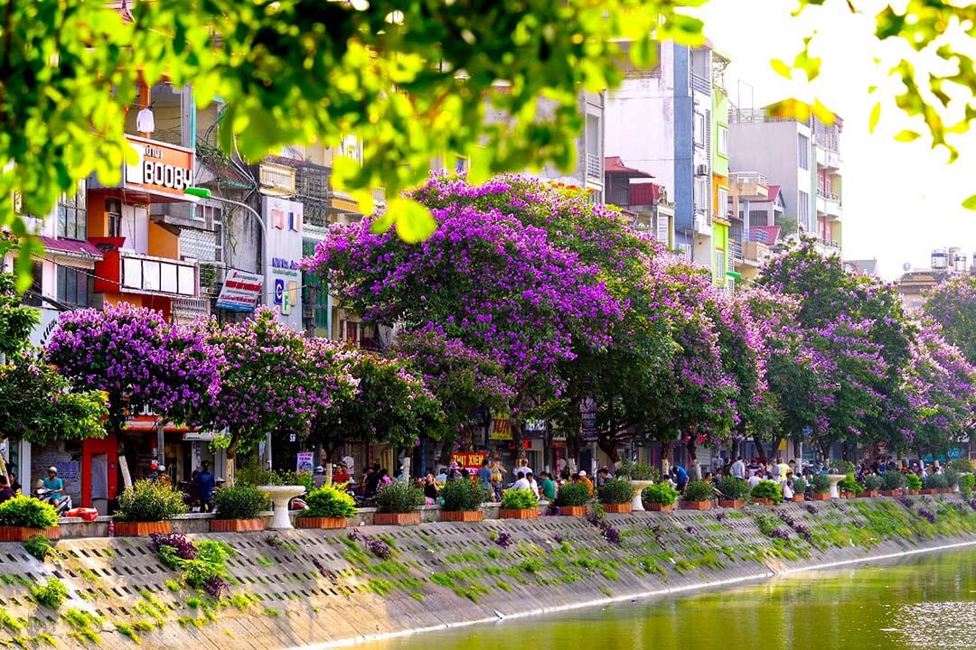 Summer in Hanoi