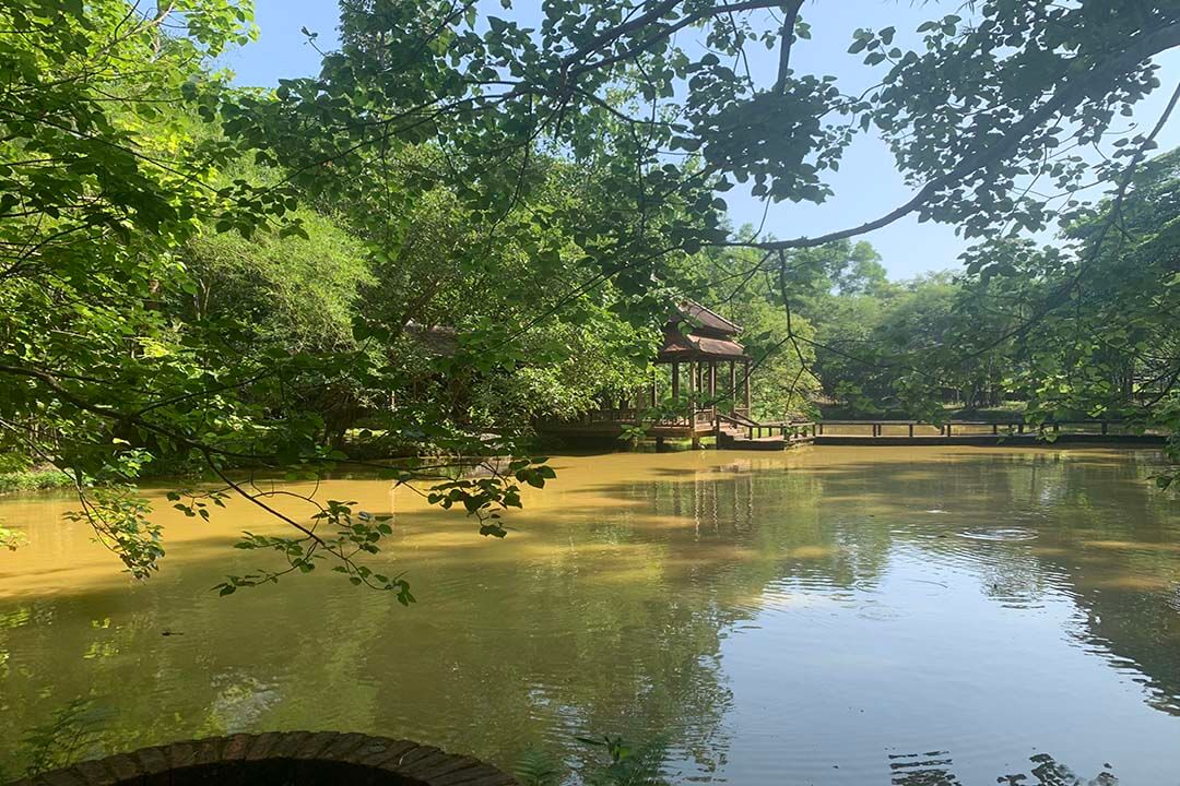 The lake view in Tu Hieu Pagoda