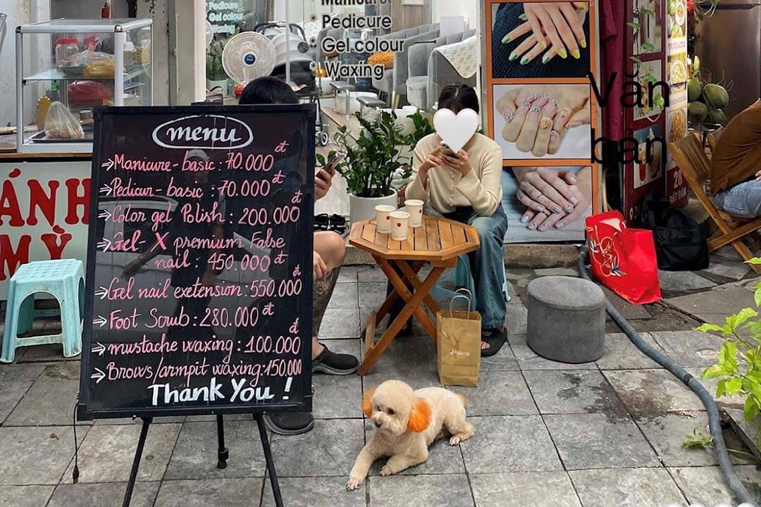 The dog and menu in front of Van Nail