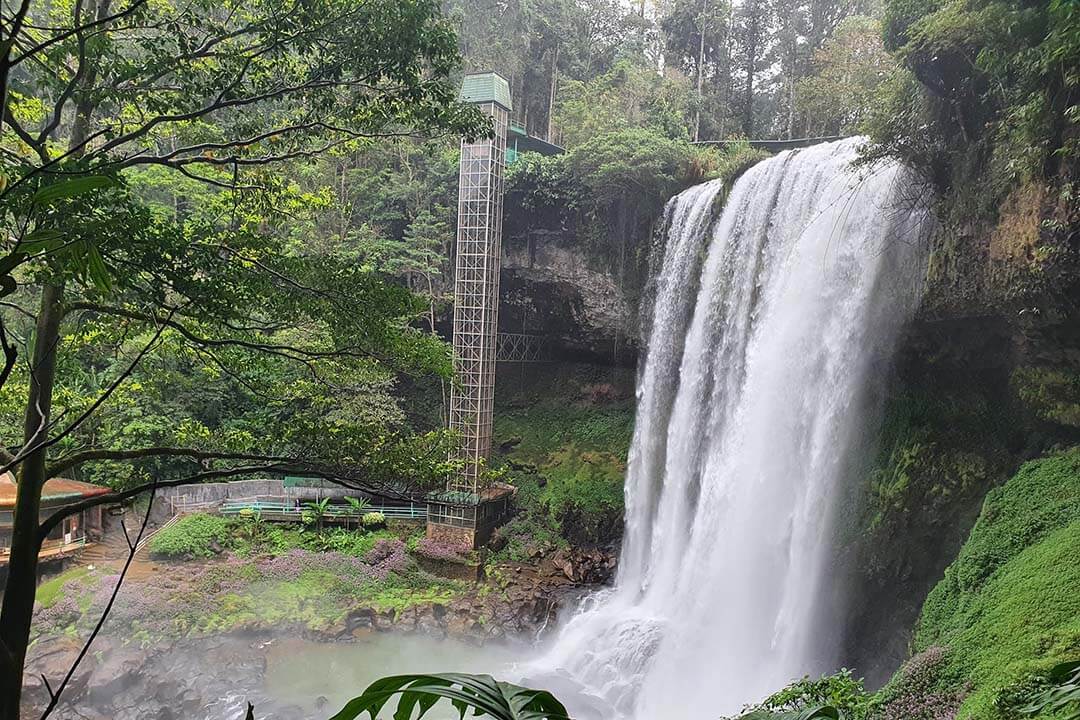 Dambri Waterfall