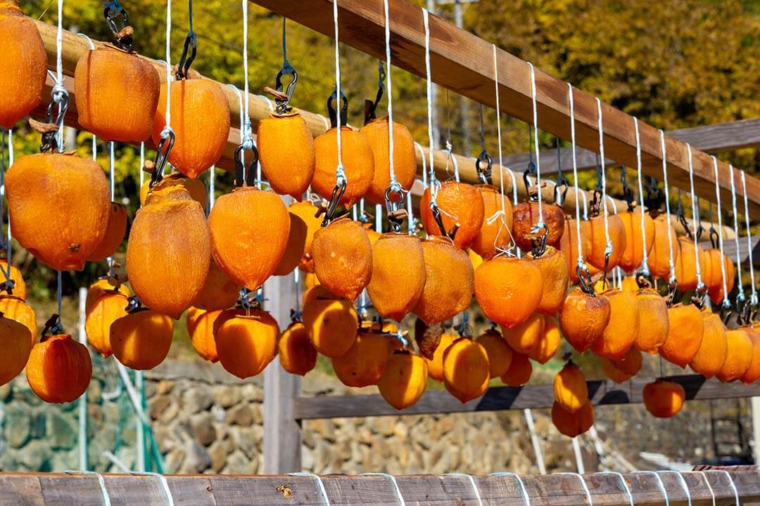 Dried Persimmons in Dalat